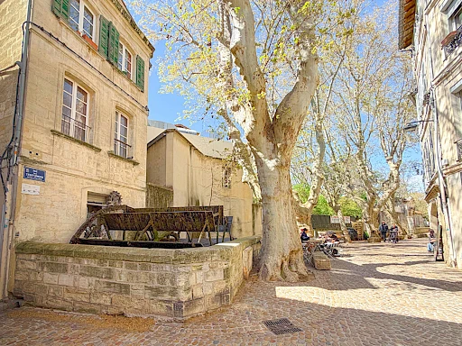 Appartement  meublé Avignon 3 pièces Avignon intra-muros - 9