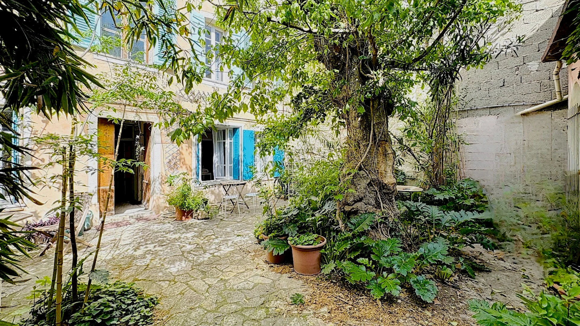 Avignon Intra muros - Maison 9 pièce(s) 250 m2 avec jardin - Studios indépendants - 1 place de parking