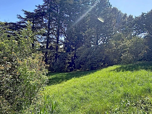 HAVRE DE PAIX PROCHE AVIGNON - MAISON À FORT POTENTIEL AVEC DÉPENDANCE - 5