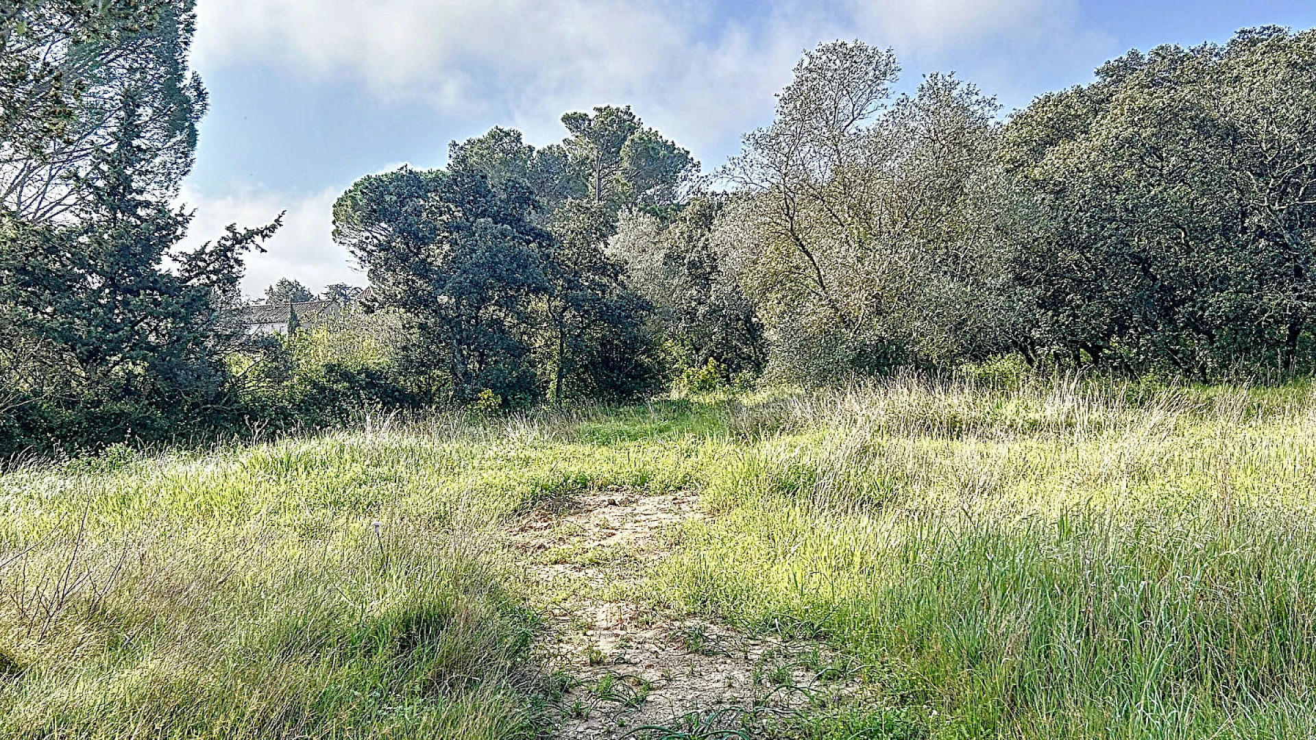Terrain constructible de 1496 m² à Villeneuve-lès-Avignon