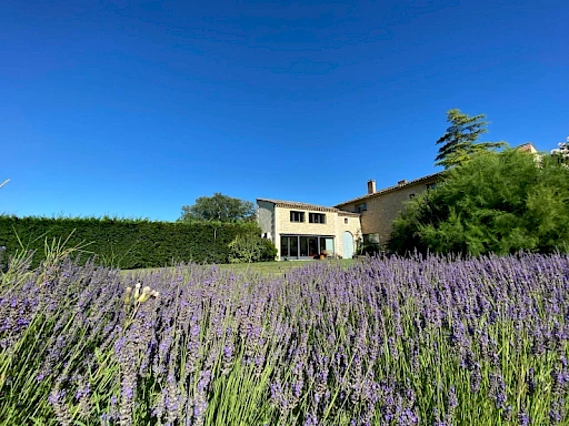 Mas Pujaut 6 pièce(s) 313 m2 sur 4540 m² avec piscine. - 5