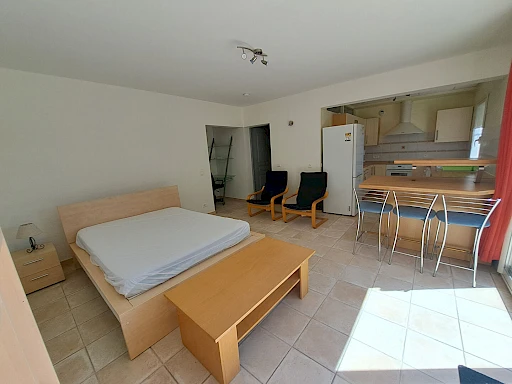 GRAND STUDIO MEUBLE 40 m²  AVEC TERRASSE + PARKING - 3