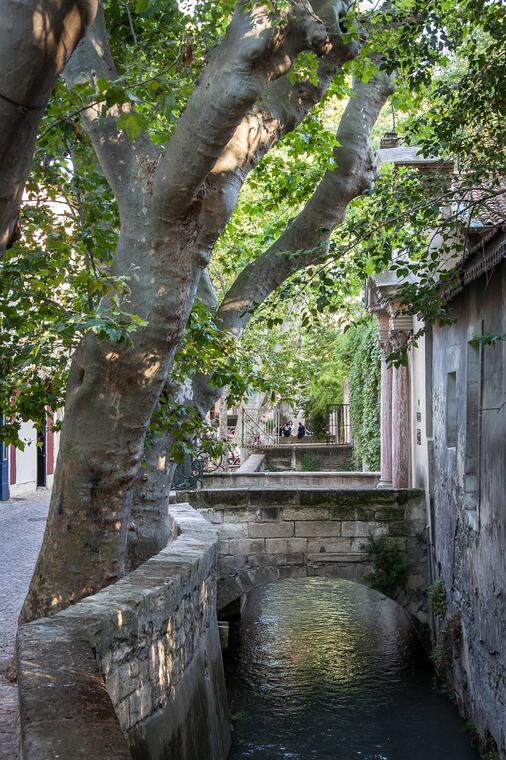 Pourquoi investir à Avignon ?